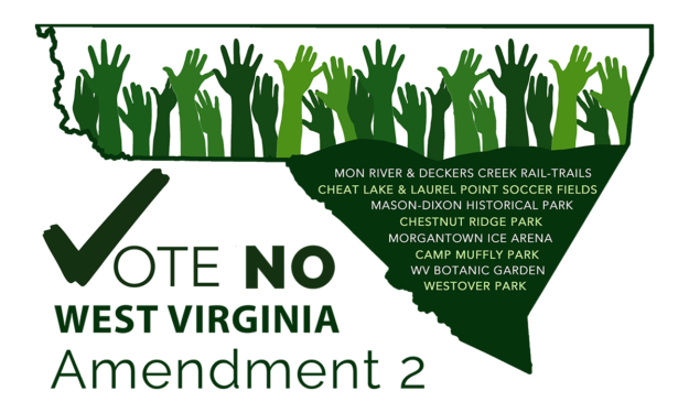 Levy amendment 2