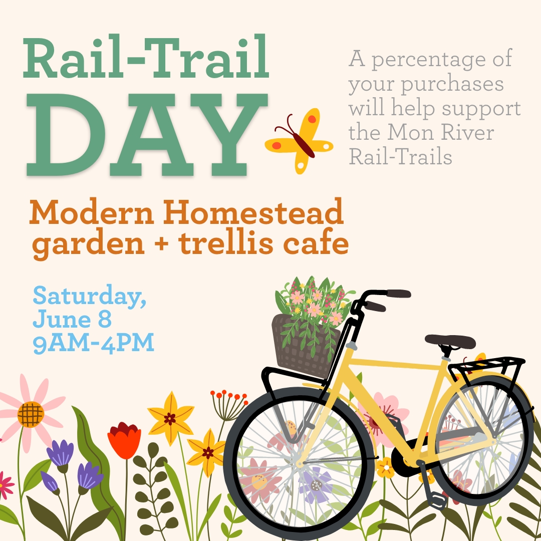 Instagram Post – 2