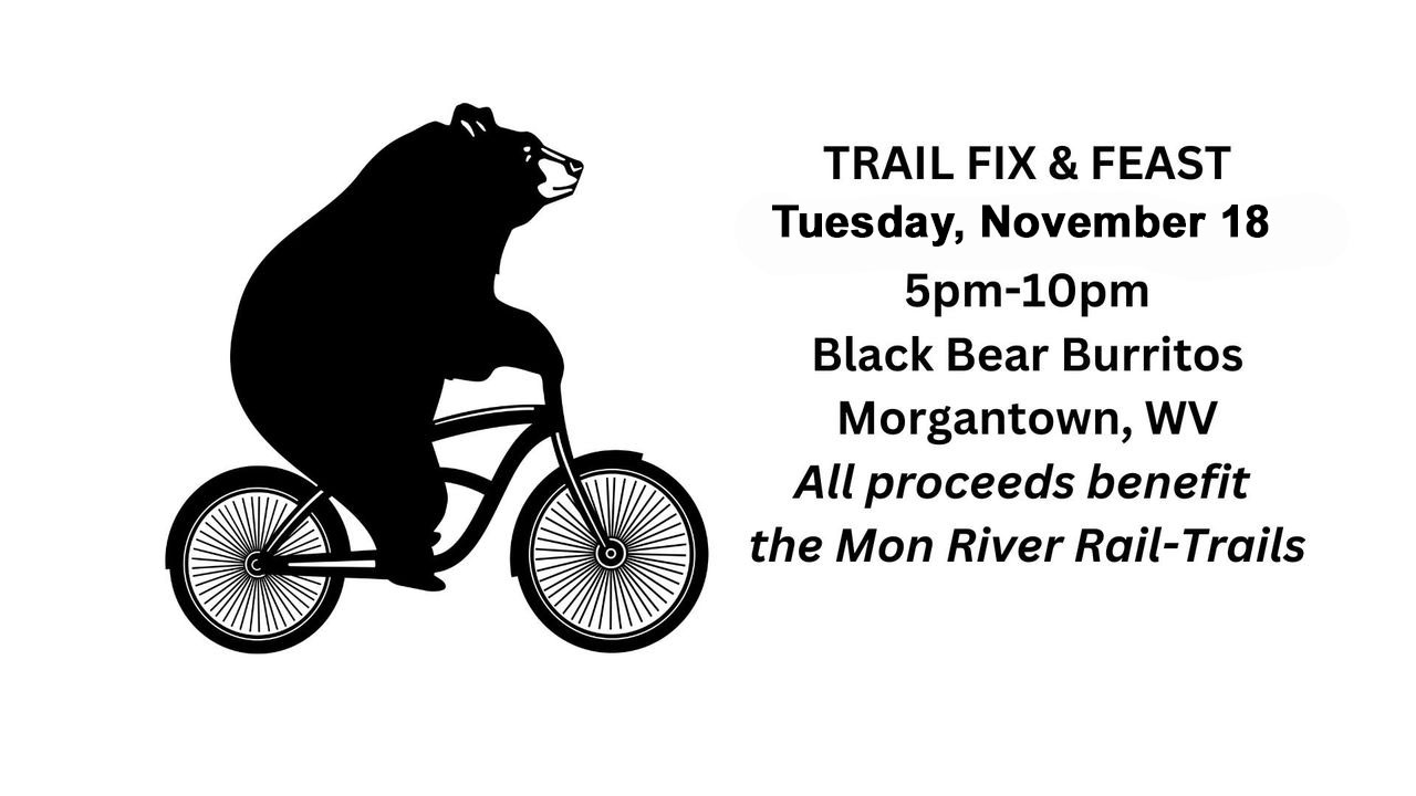 Black-Bear-2